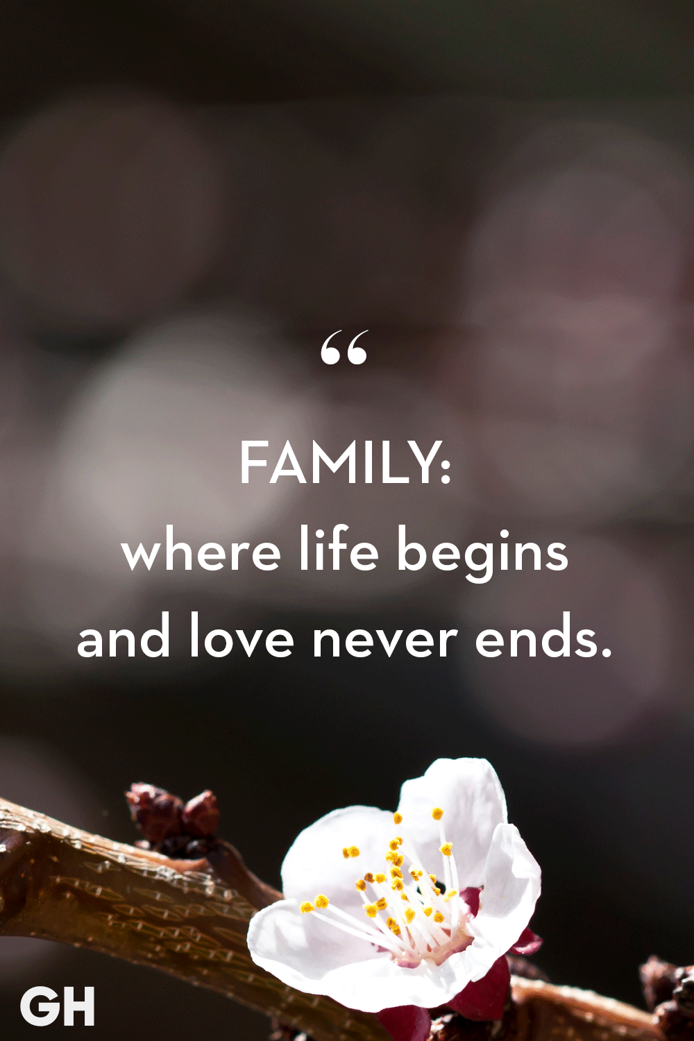 √ Happy Family Family Quotes English