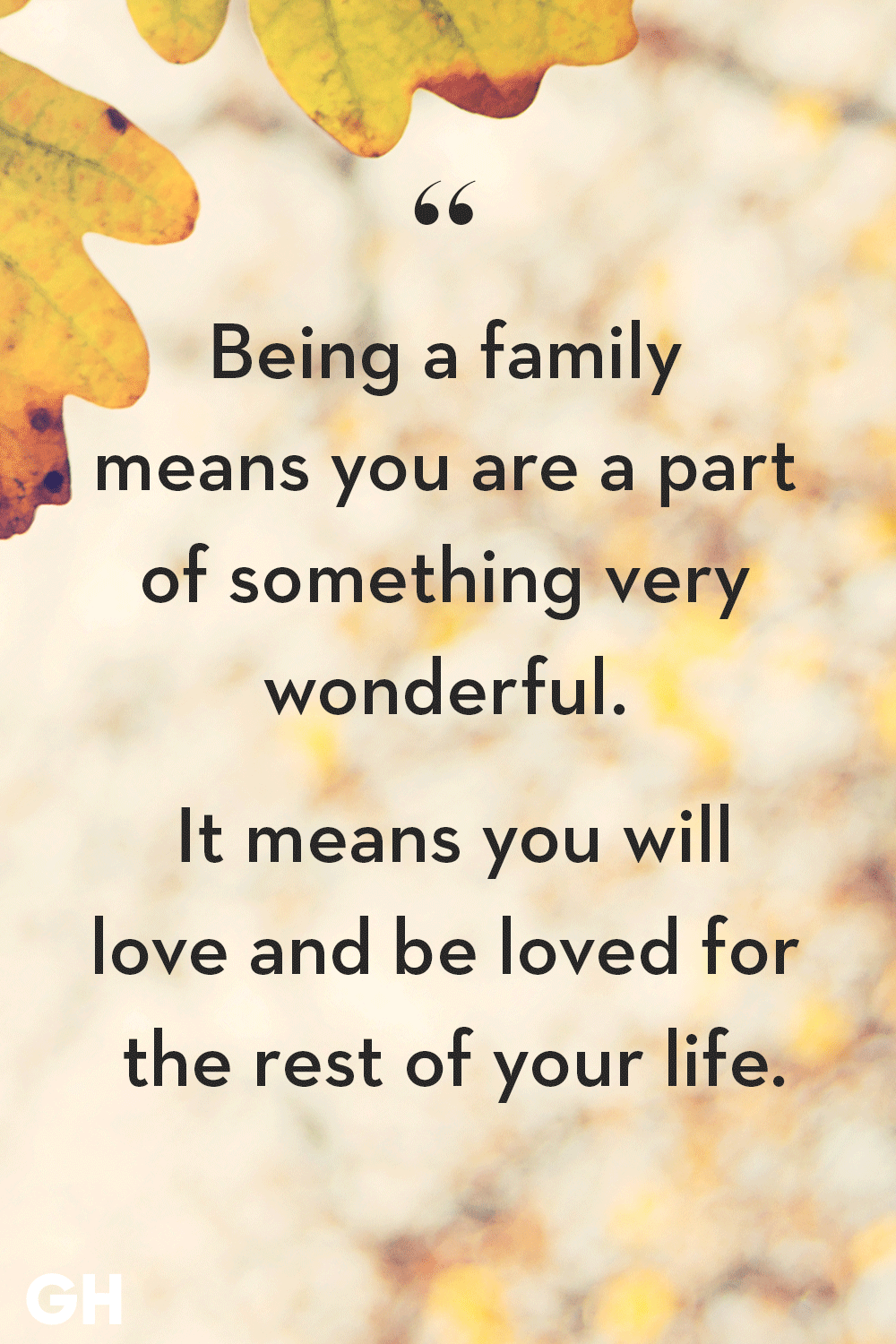 45 Family Quotes Short Quotes About The Importance Of Family