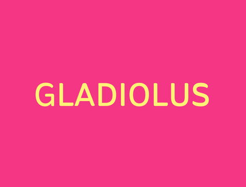 gladiolus spelling bee word
