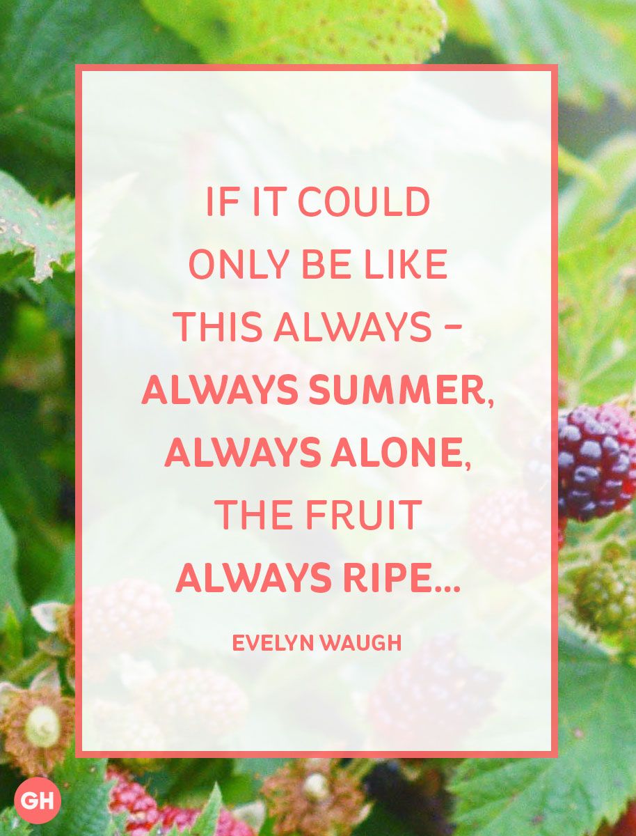 20 Best Summer Quotes Lovely Sayings About Summertime