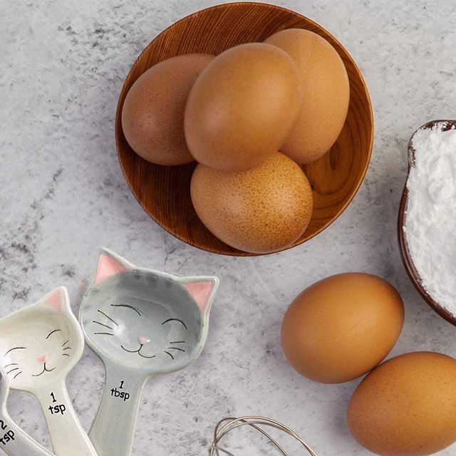 50 Best Gifts for Cat Lovers in 2021 Unique CatThemed Gifts