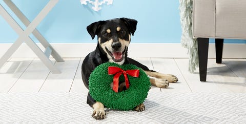 40 best gifts for dog lovers 2018 unique dog owner gift ideas