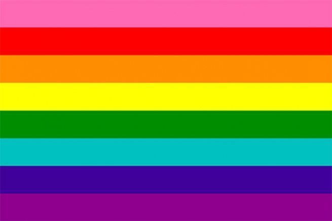 LGBTQの旗、いくつ知ってる？レインボーフラッグの種類とその意味｜ハーパーズ バザー（Harper's BAZAAR）公式