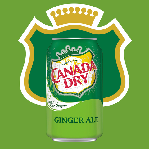 10 Best Ginger Ale Brands Canada Dry Is Still The Top Ginger Soda