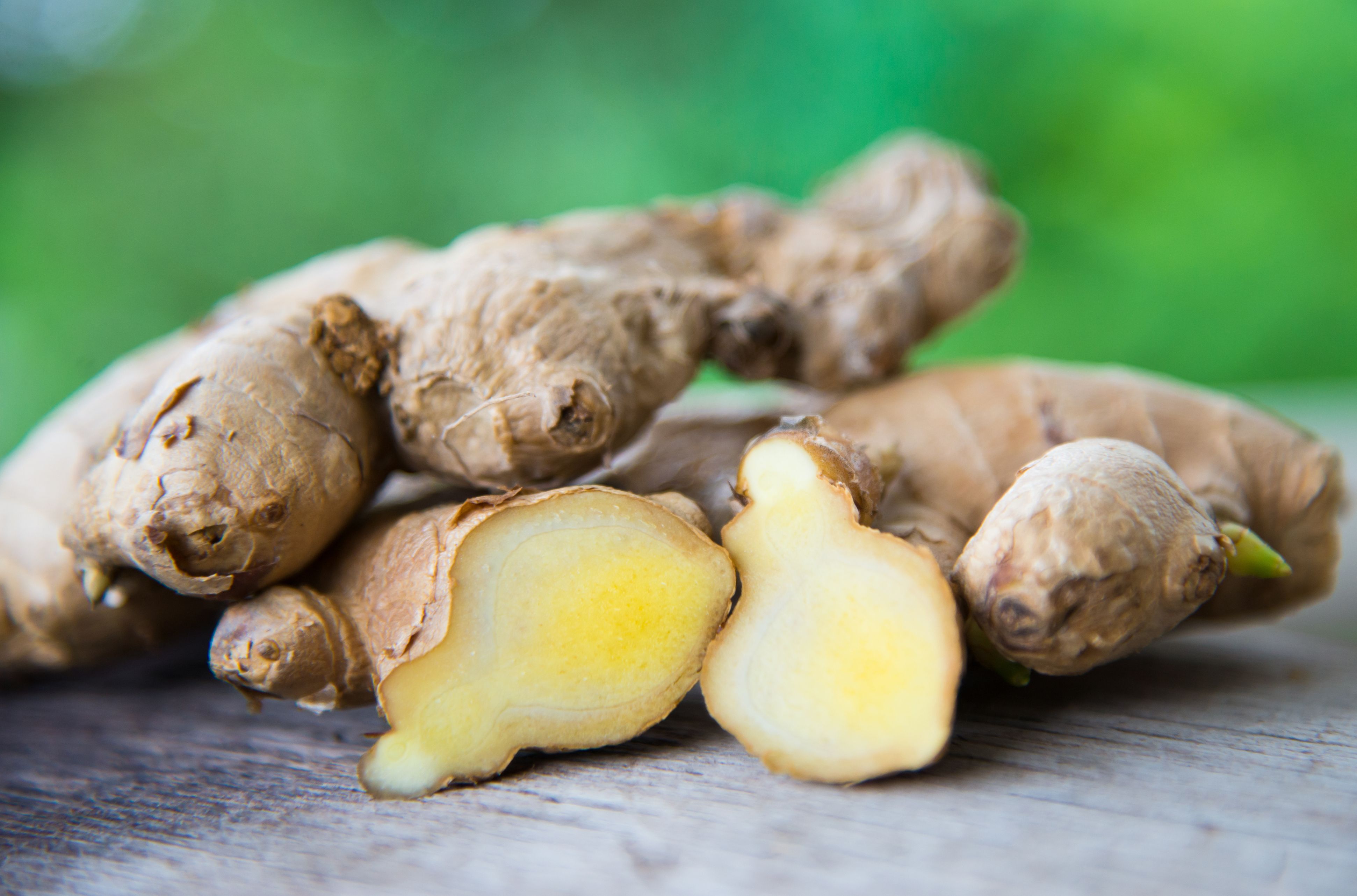 How To Grow Ginger Indoors Growing Ginger Root At Home
