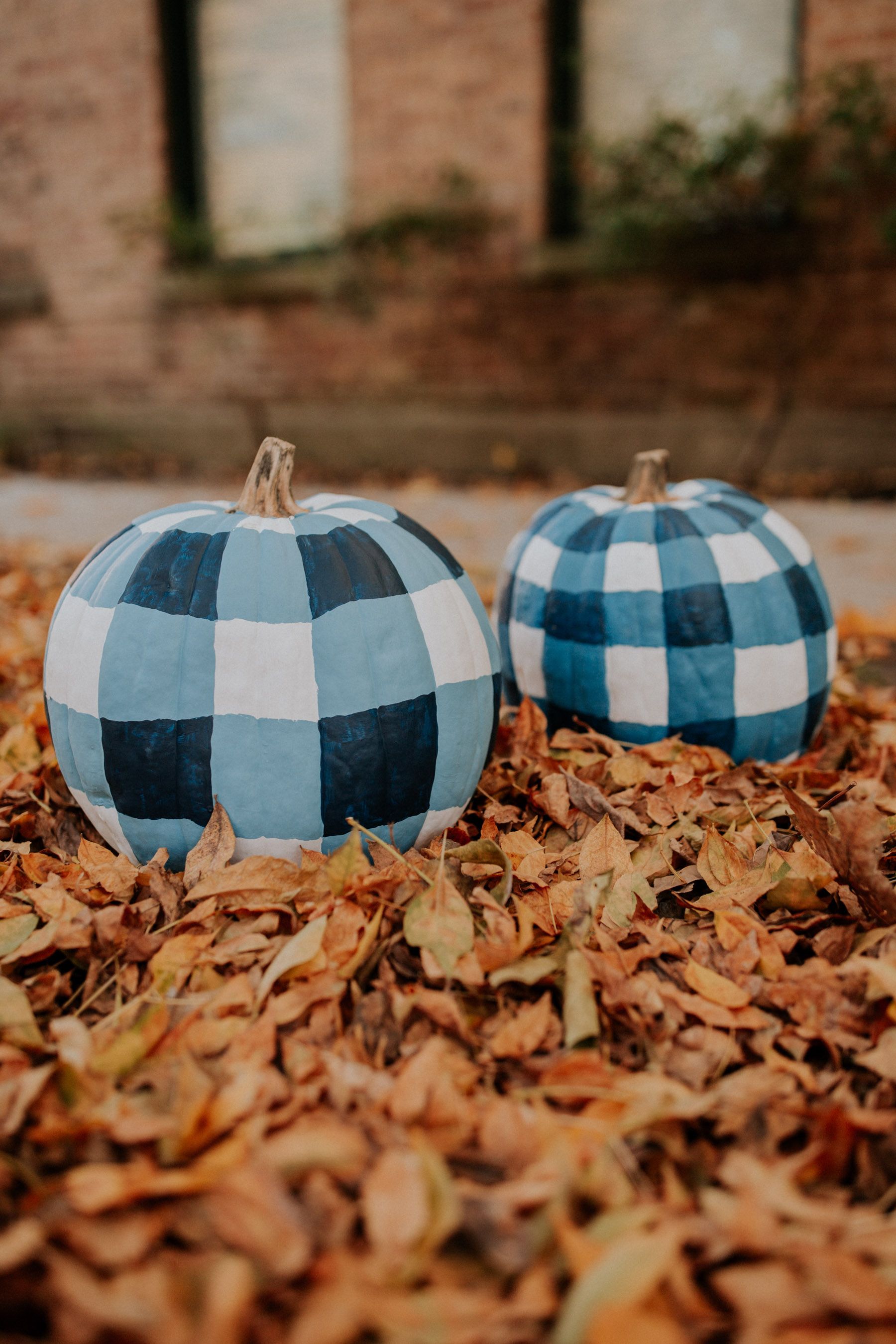 All You Need To Know About Cute Pumpkin Painting - Painters Legend