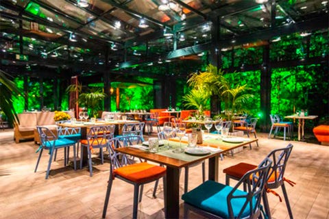 Restaurante Ginko Jardín restaurante ginko garden en madrid