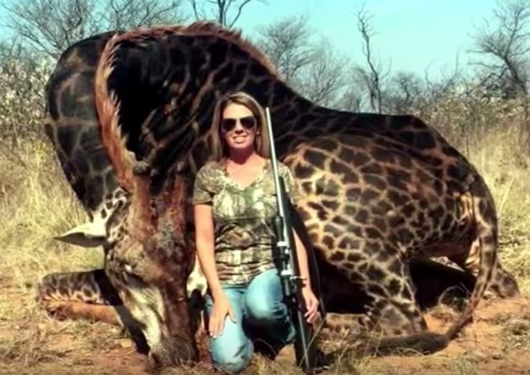 Tess Thompson Talley Kills Giraffe on Safari Hunt - Black ...