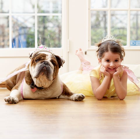 girl and british bulldog playing dressup