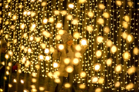 royal botanical gardens, kew, at christmas