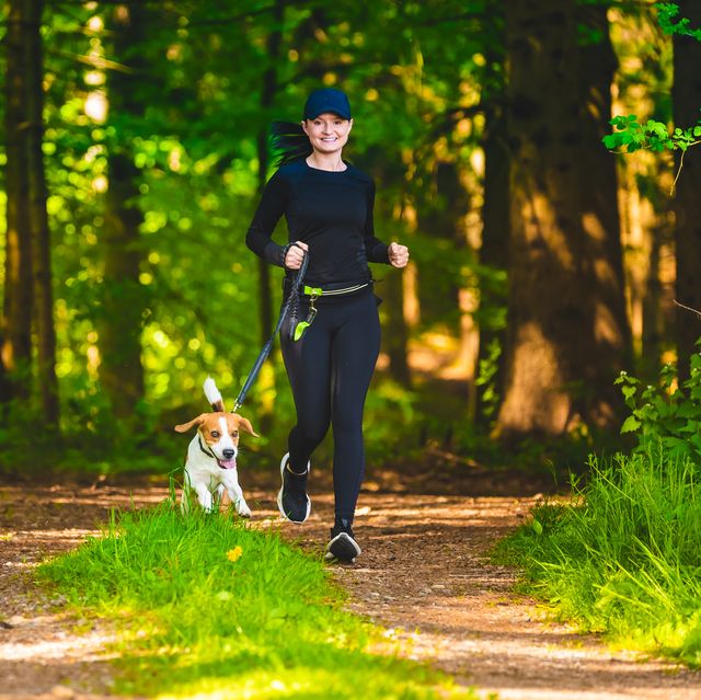 girl walking with beagle dog outdoors in nature on a path in forest