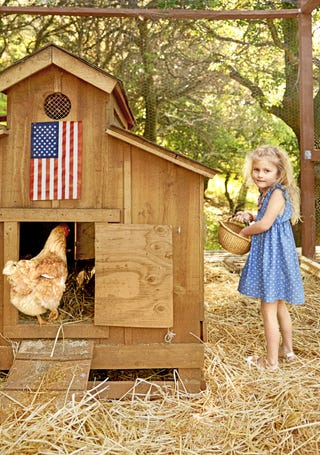 girl with chicken coop Photo of girl and a chicken coop