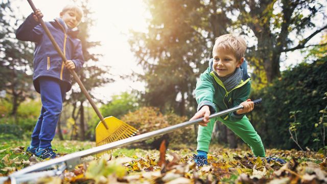 give your home an autumn blitz