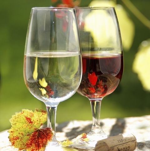 a glass of red wine and a glass of white wine