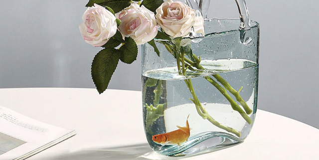 You Can Buy the Viral Glass Bag-Vase-Fish Tank on Amazon