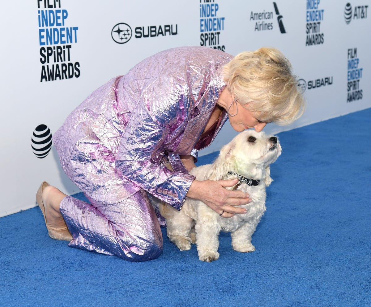 Glenn Close and Her Dog Pip Did a Shoot for Stella McCartney, Pip Set ...