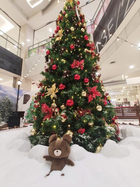 板橋Global Mall小熊學校聖誕