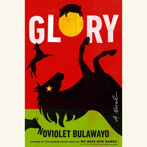 glory, noviolet bulawayo