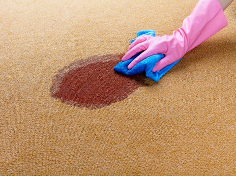 How To Clean A Carpet Cleaning Carpet Tips