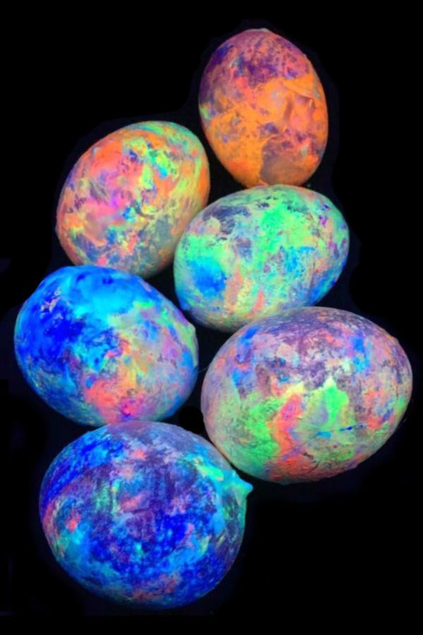 download free the dark egg download free the dark egg