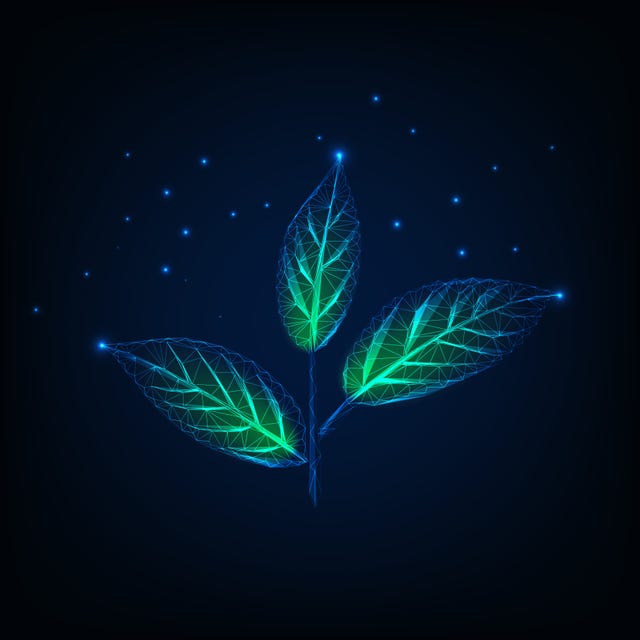 glowing-plant-with-stem-and-green-leaves-royalty-free-illustration-1633968887.jpg
