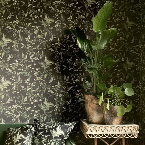 goblincore aesthetic, vintage fearne night sky black wallpaper, woodchip  magnolia x fearne cotton