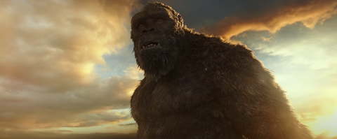 Godzilla Vs Kong Sets New Hbo Max Record After Huge Opening