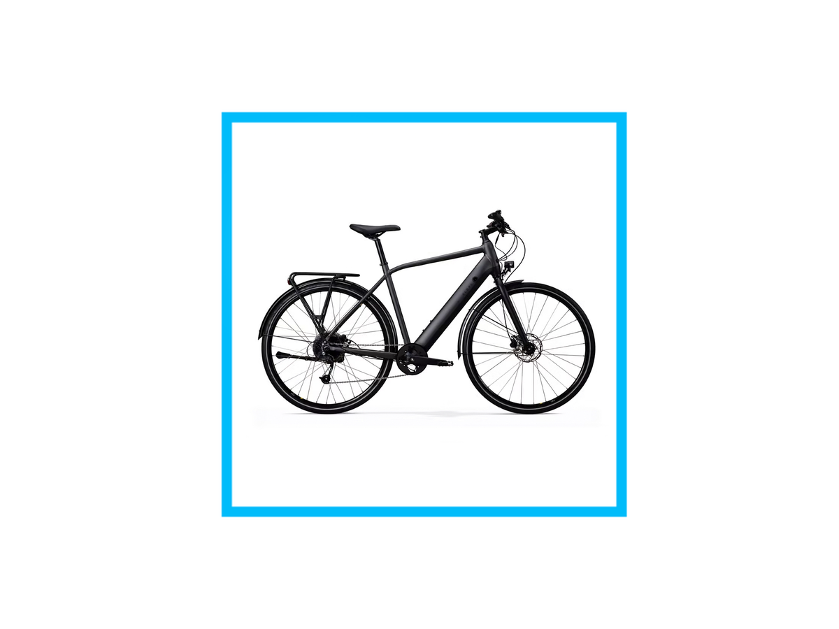 Autonomie Of absorptie Elektrische fiets voor heren: met deze betaalbare e-bike vlieg je
