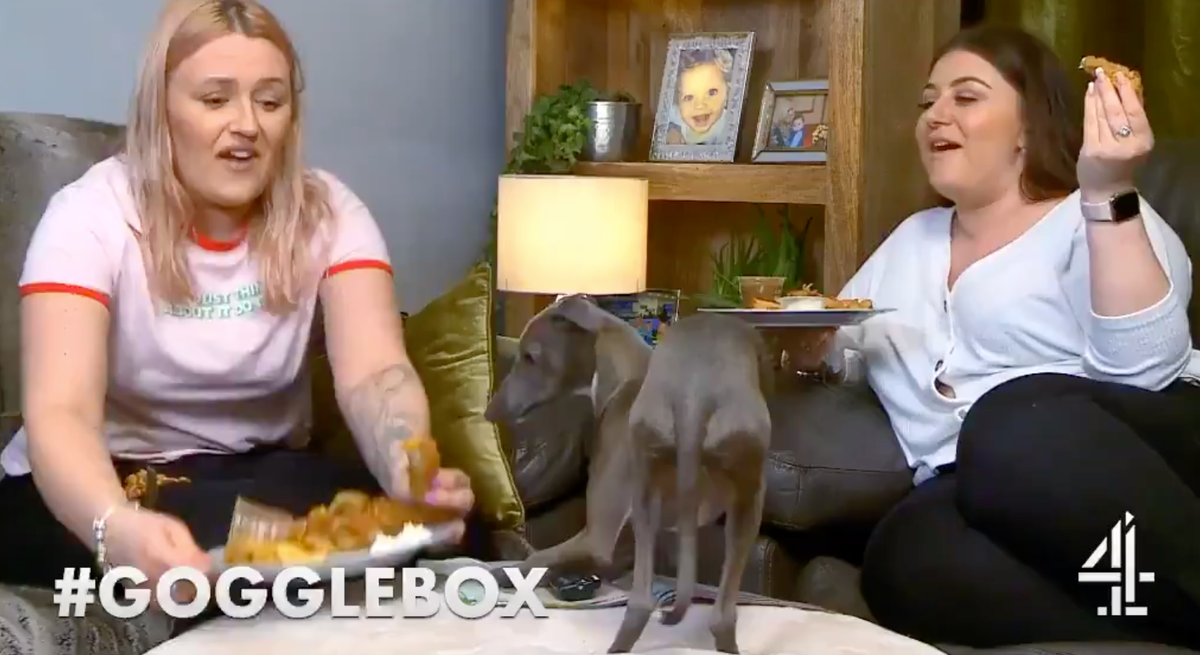 Gogglebox star criticised by viewers after shoving her dog