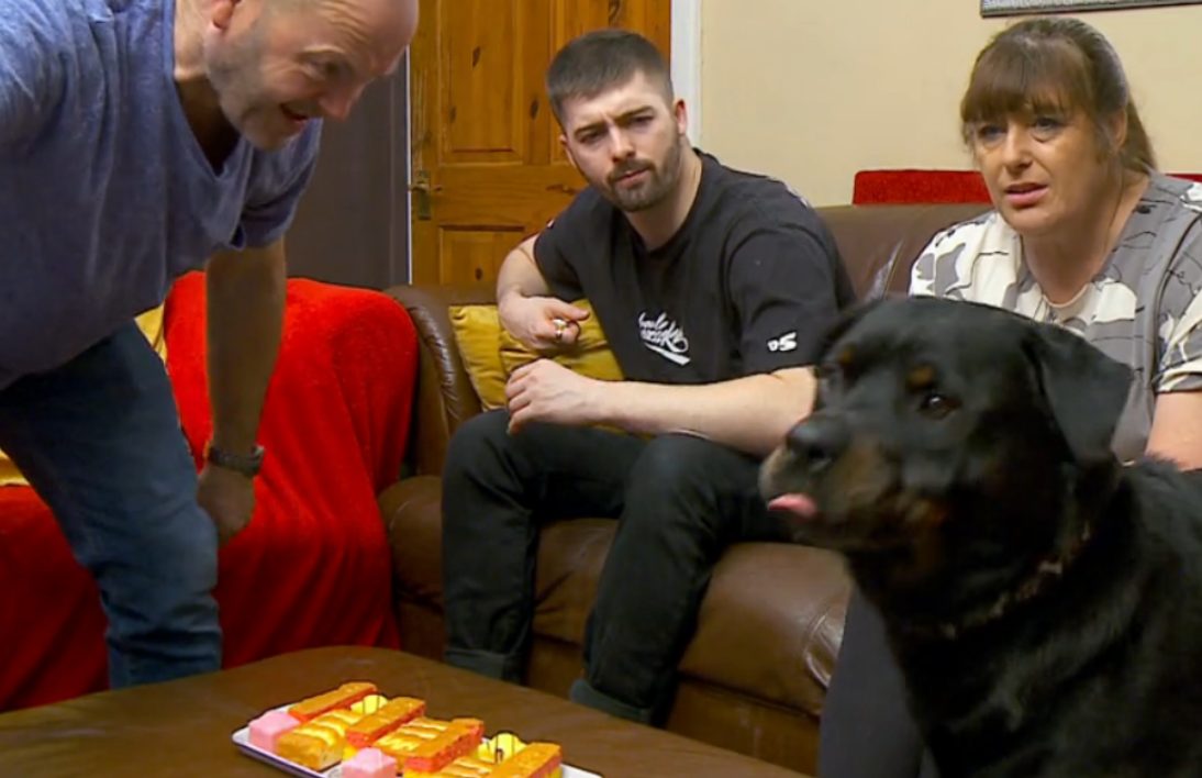 Gogglebox S Malone Family Dog Dave Attacks Tv To Help Monkeys