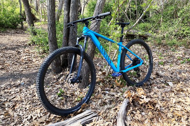 blue grand canyon 7 hardtail bike leaning against a tree in the woods
