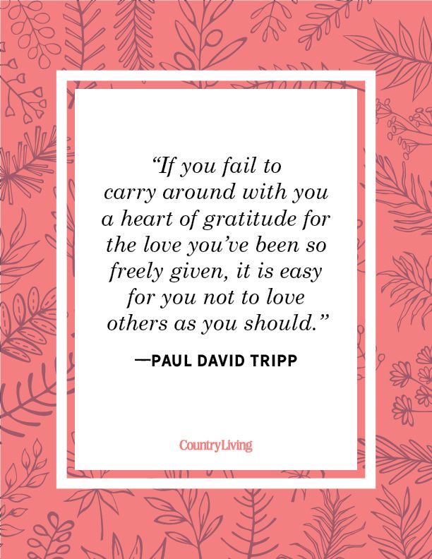 47 Gratitude Quotes Best Short And Famous Quotes About Gratitude