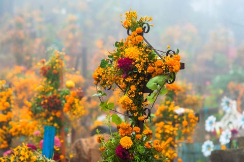 day of the dead celebrations in ayutla