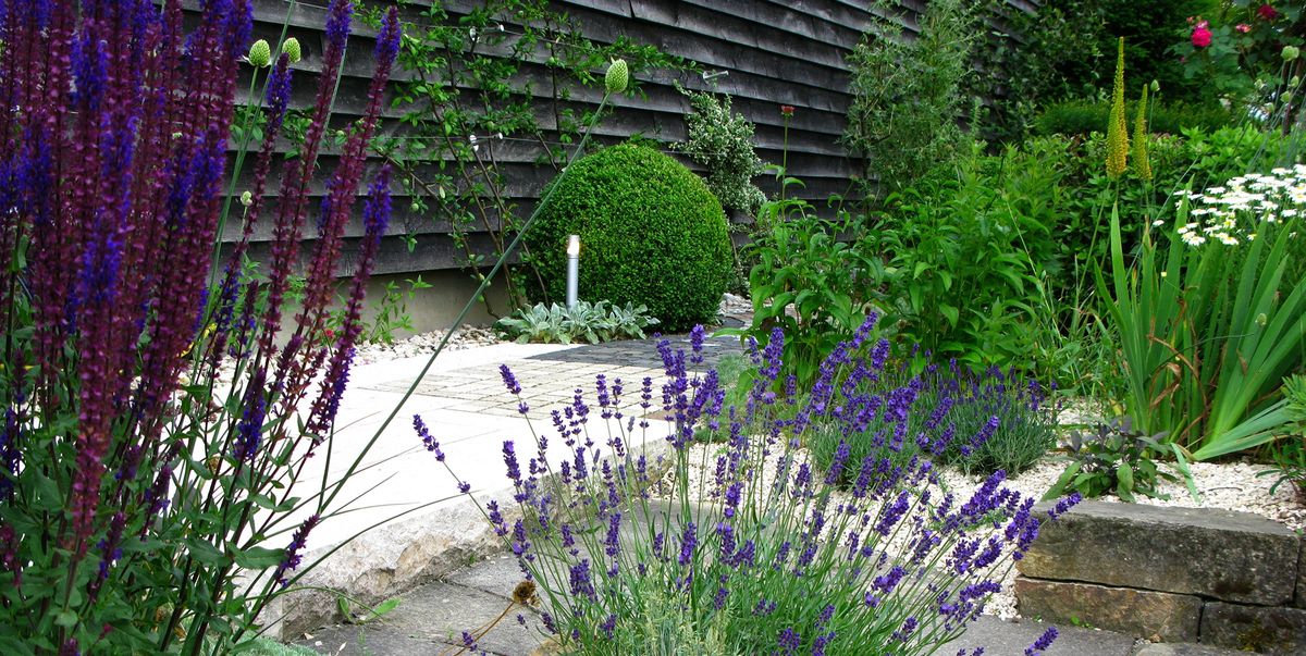 7 Gravel Garden Ideas: Design, Planting and Maintenance