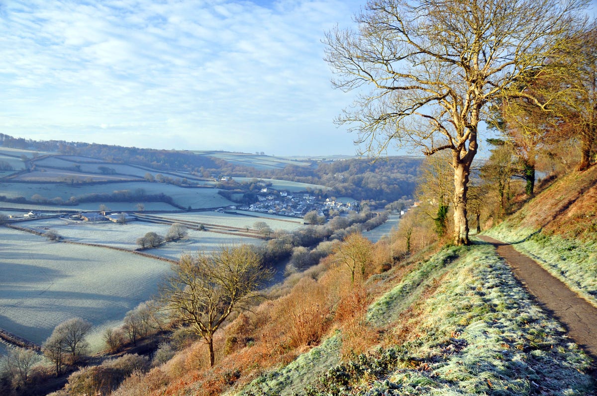 This little town in Devon is Great Britain's healthiest place to live