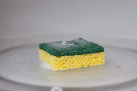 green and yellow sponge in microwave