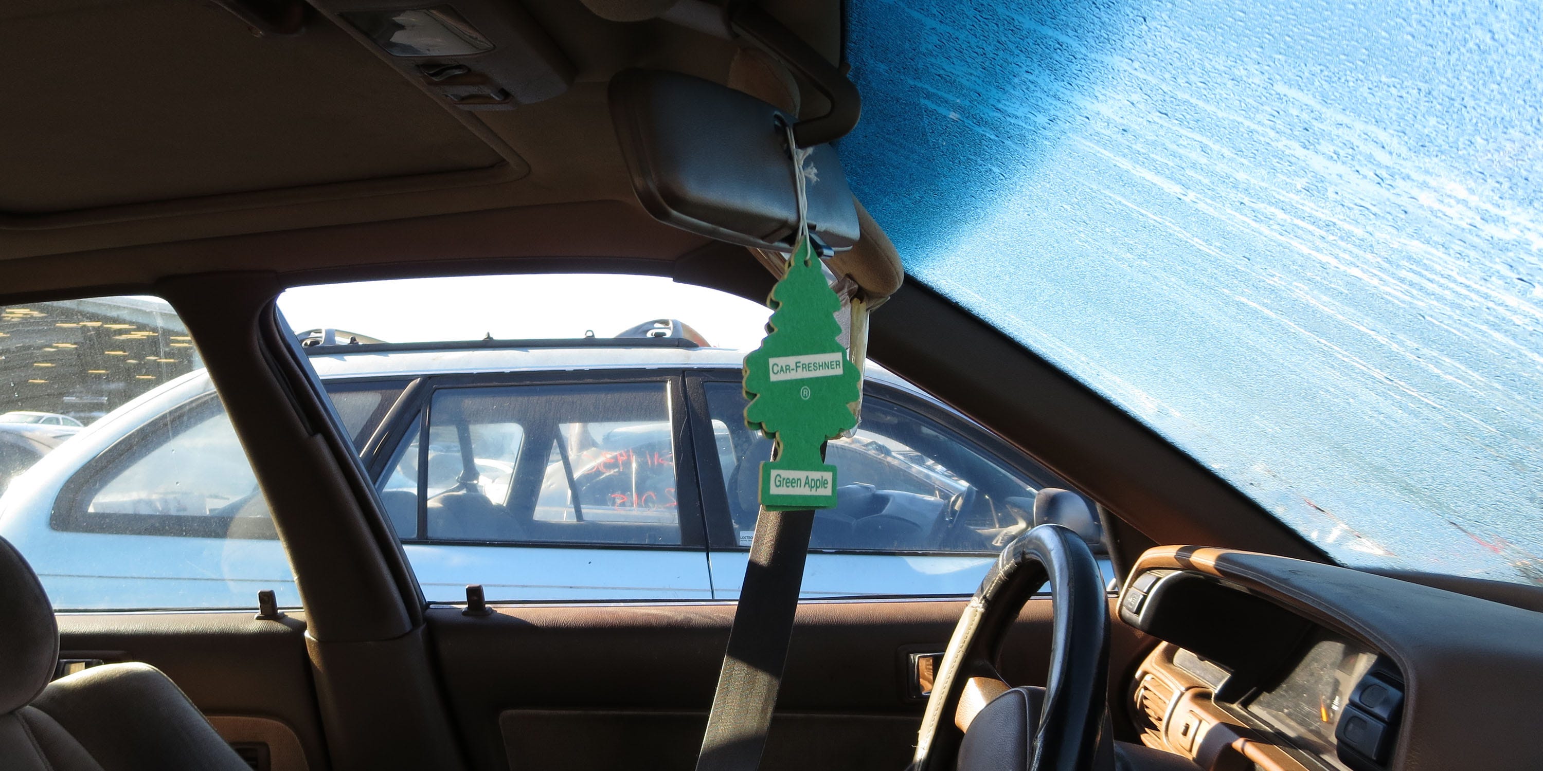 Green Apple Car-Freshner Little Trees in Junkyard Cars