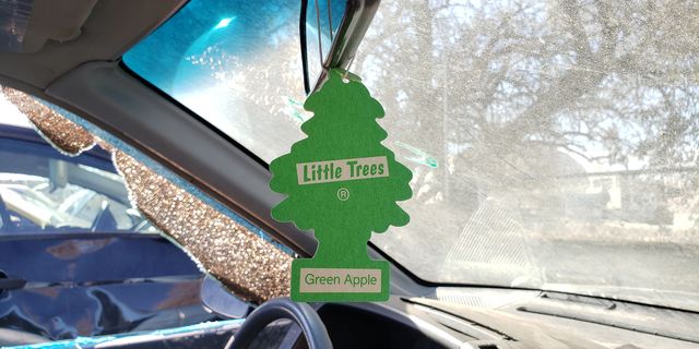 green apple little trees in junkyard cars