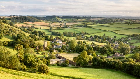 This is the single best thing you can do to help the environment, research finds
