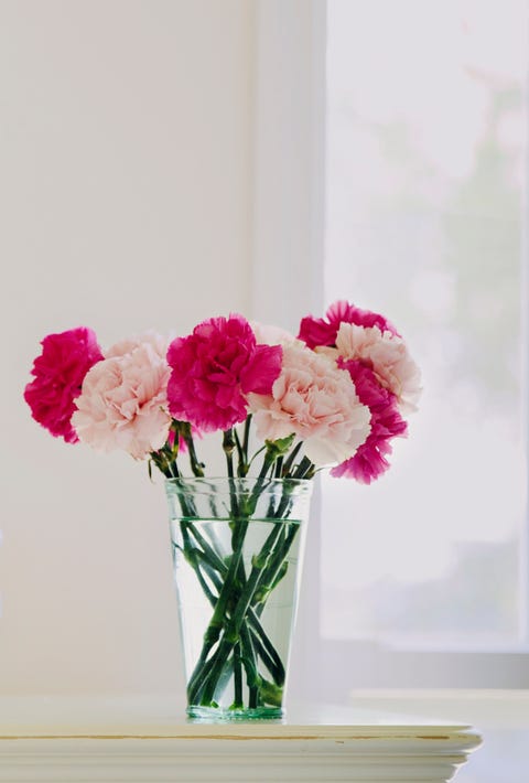 Green glass full of pink carnations on dresser near window