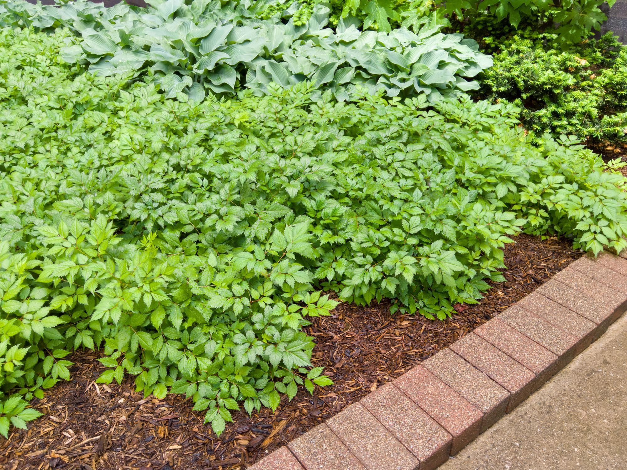 landscaping bricks near me