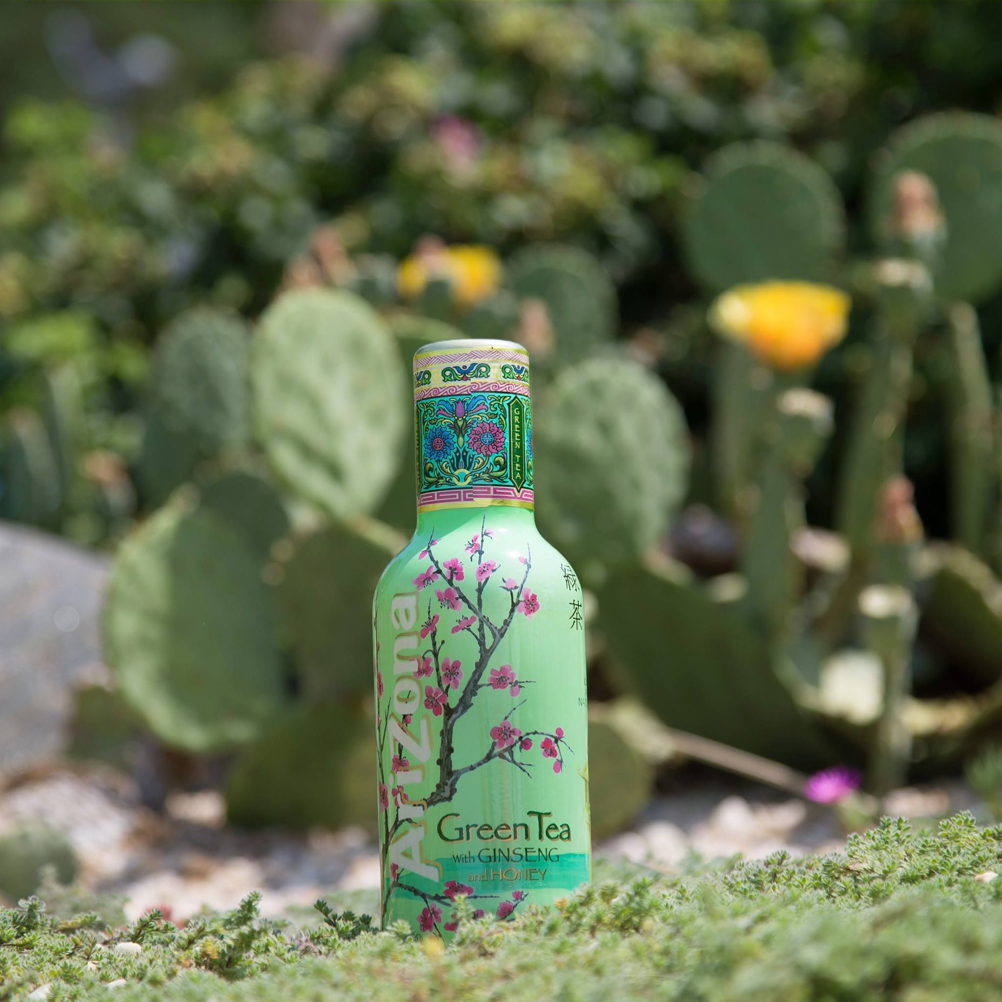 Arizona Ice Tea Is Being Sued After Falsely Labeling Its Green Tea With The Ingredient Ginseng
