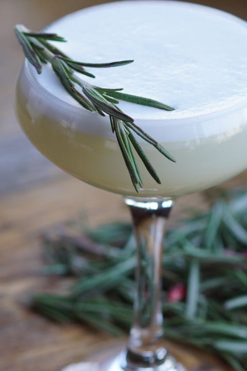 15 Best Gin Cocktails - Easy Classic Gin Drink Recipes