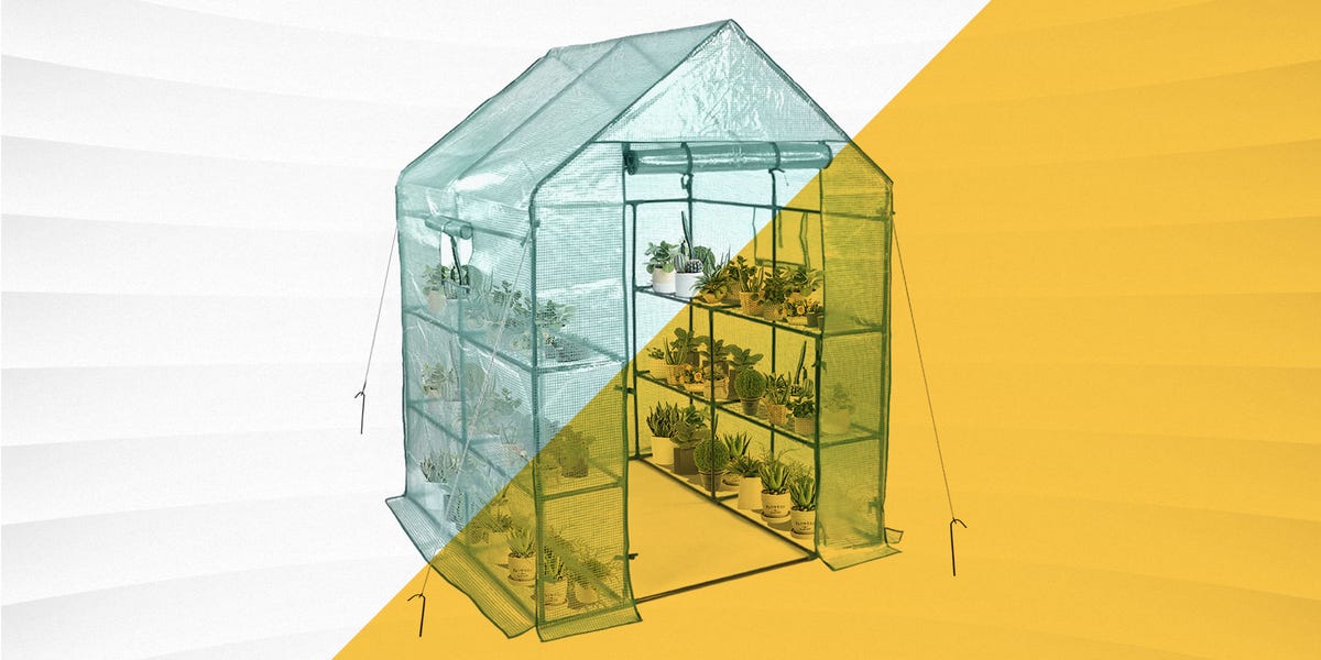 The 9 Best Greenhouse Kits In 2022