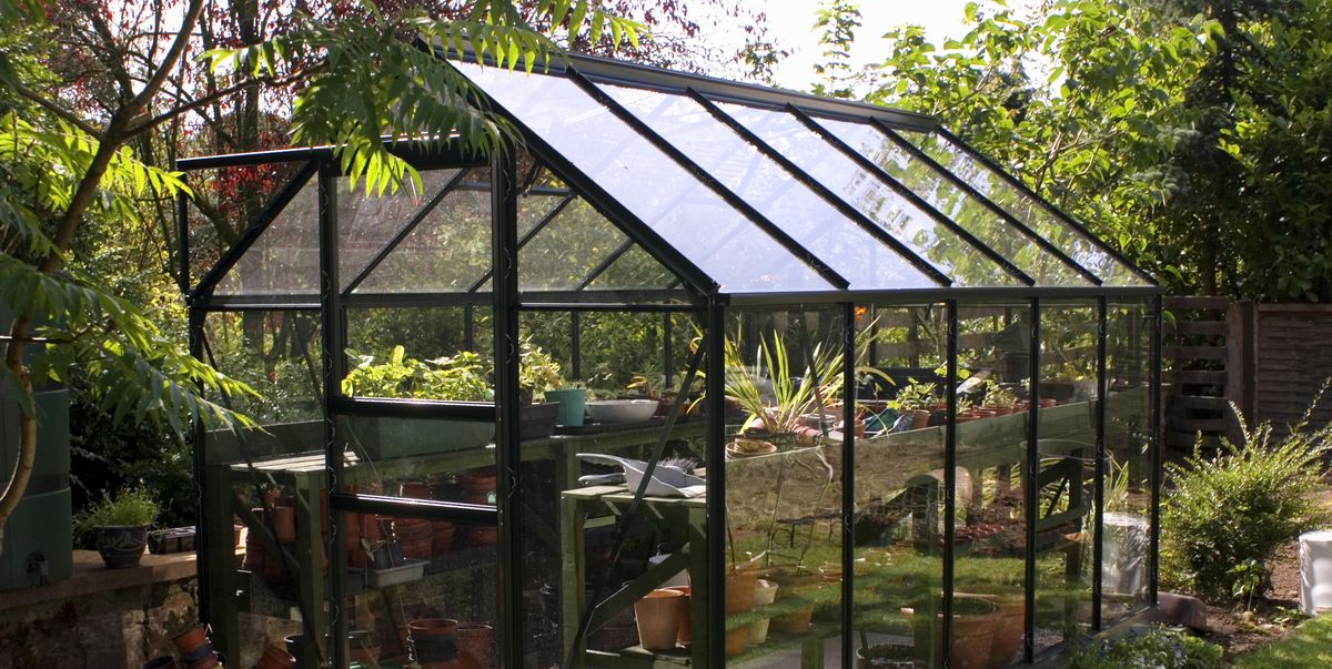 Greenhouses 5 Things To Consider Before Buying A Greenhouse