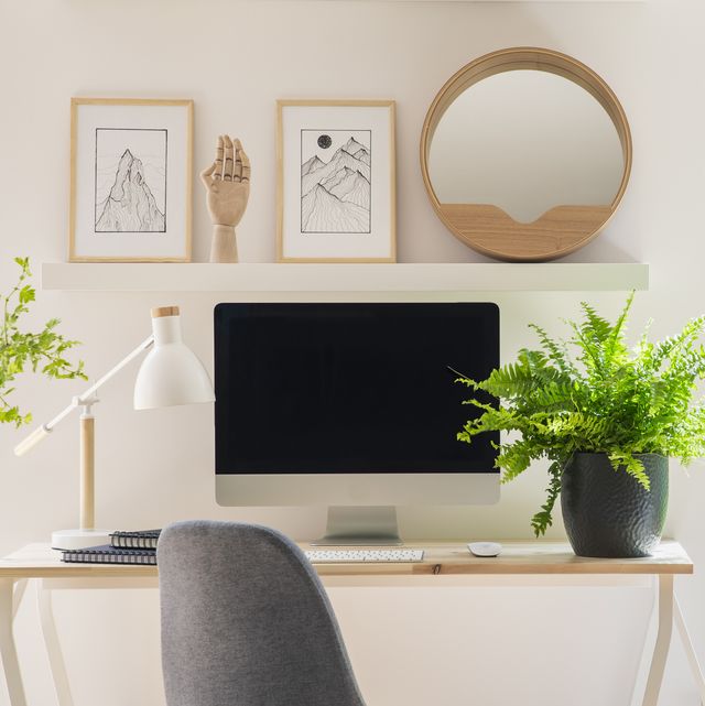 Low Light Plants For Office Desk, Best Office Desk