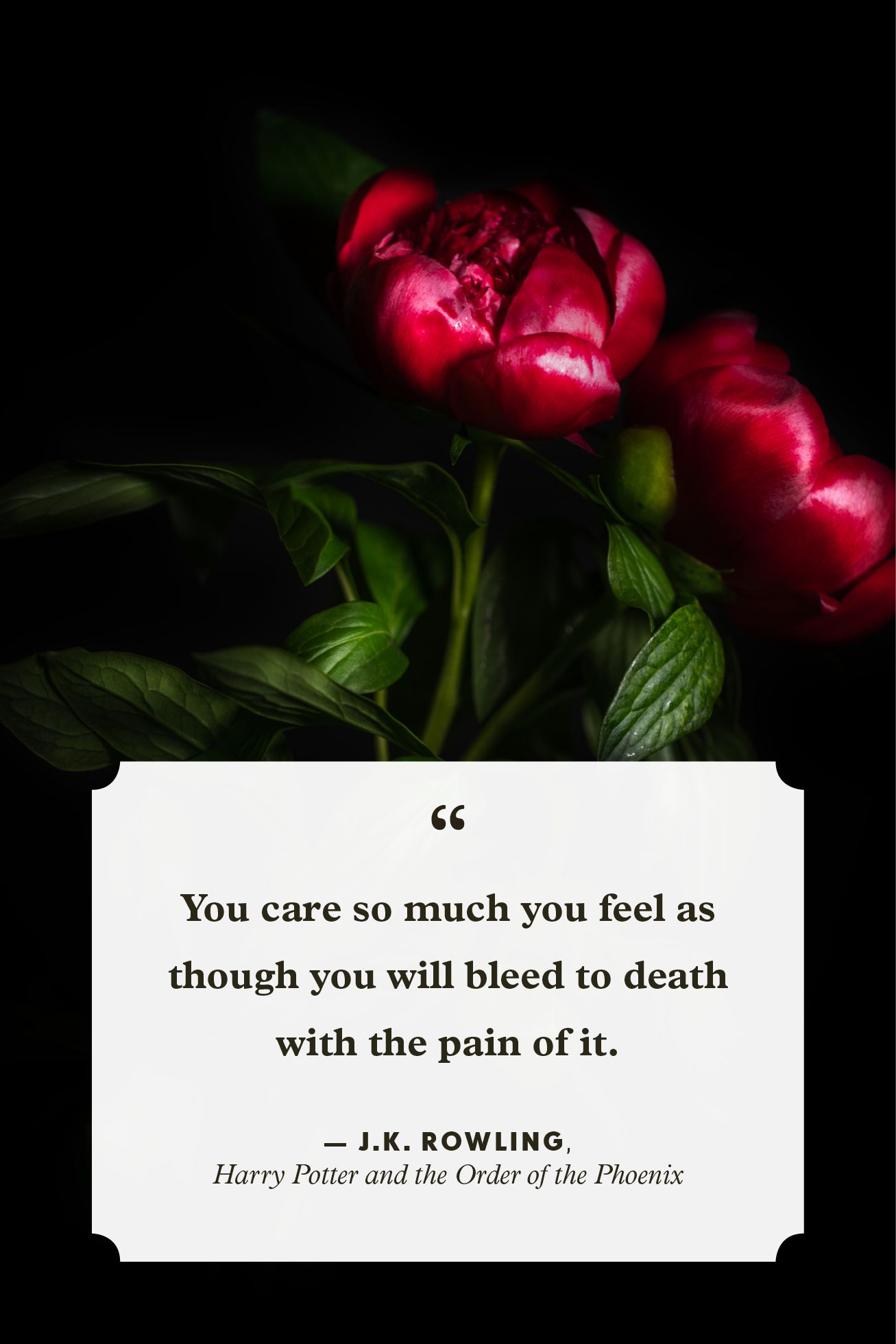 Best Grief Quotes Inspirational Quotes To Help With Grief
