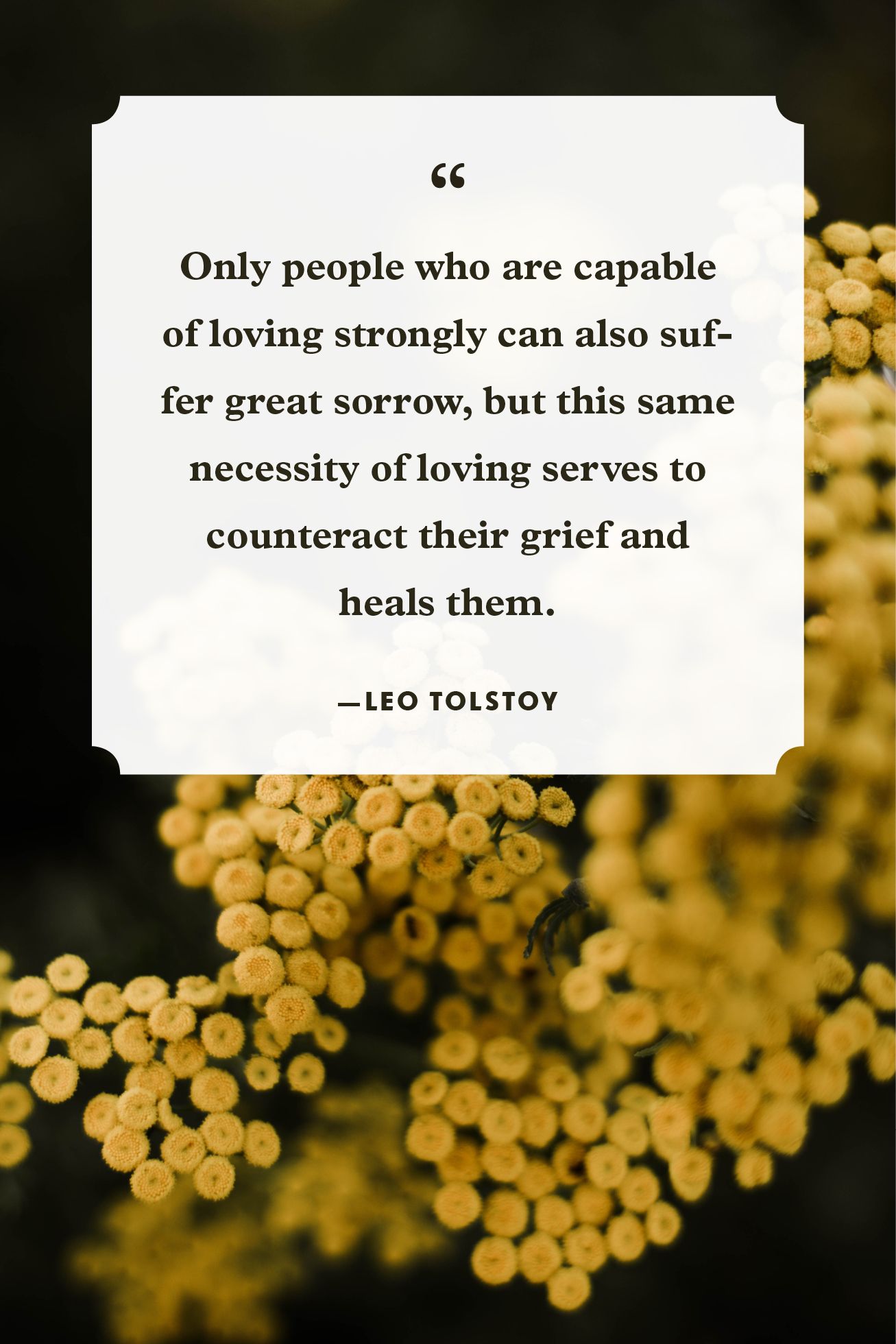 20 Best Grief Quotes Inspirational Quotes To Help With Grief