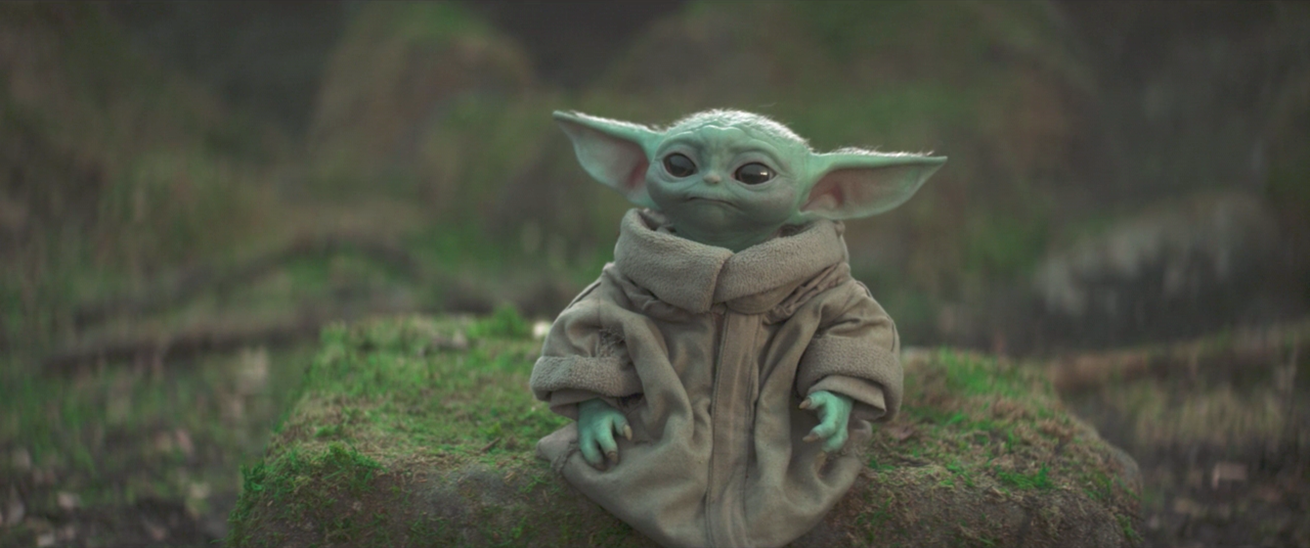 Baby Yoda will always be Baby Yoda in our hearts.