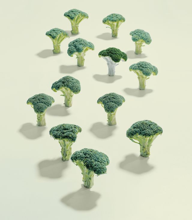 a group of broccoli